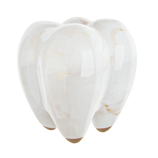 tooth